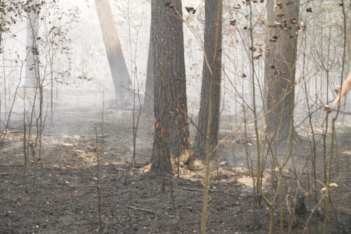 Smoke from China covered Blagoveshchensk and areas of the Amur region