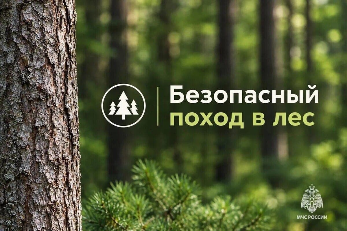 EMERCOM: how not to get lost in the forest during the “quiet hunt”