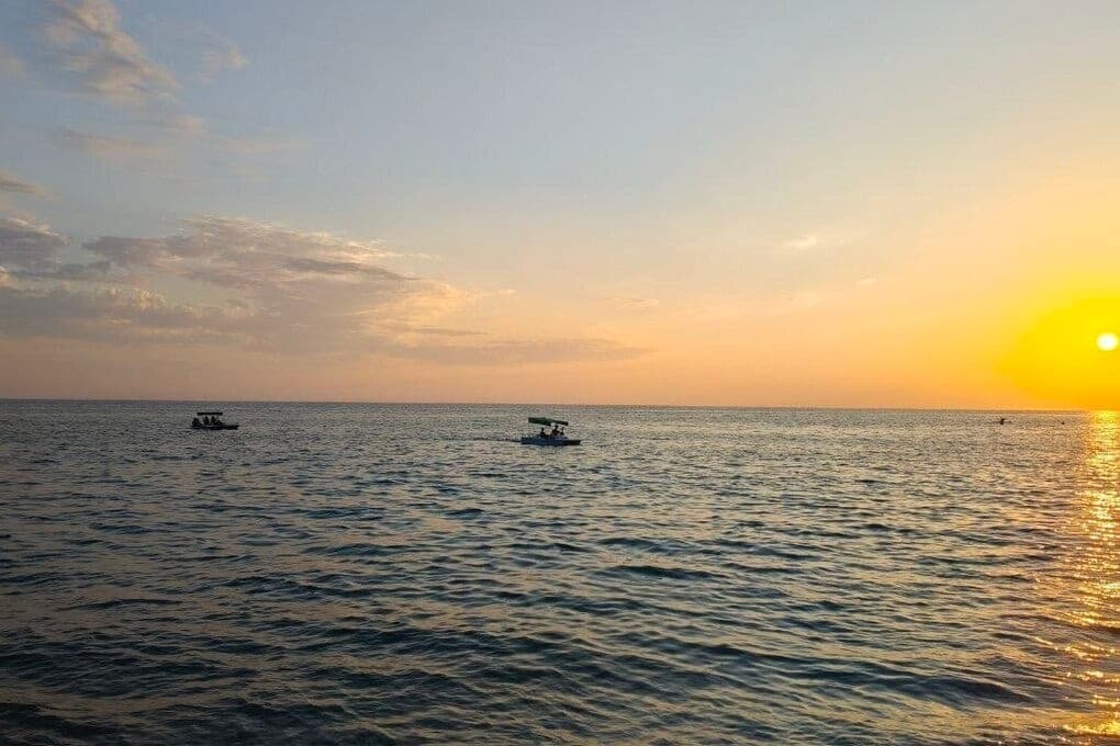 Off the coast of Sochi began the season of industrial fishing barabuli