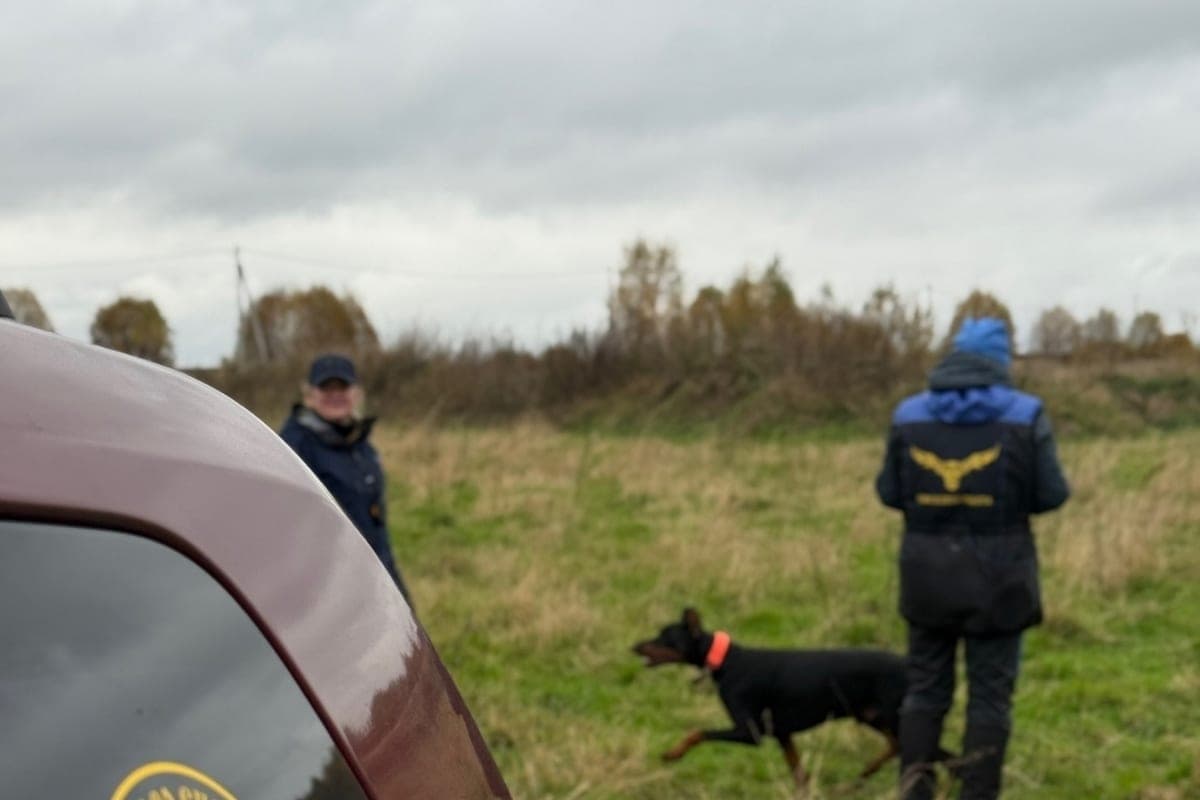 There are new details about the search for the missing boy near Rzhev