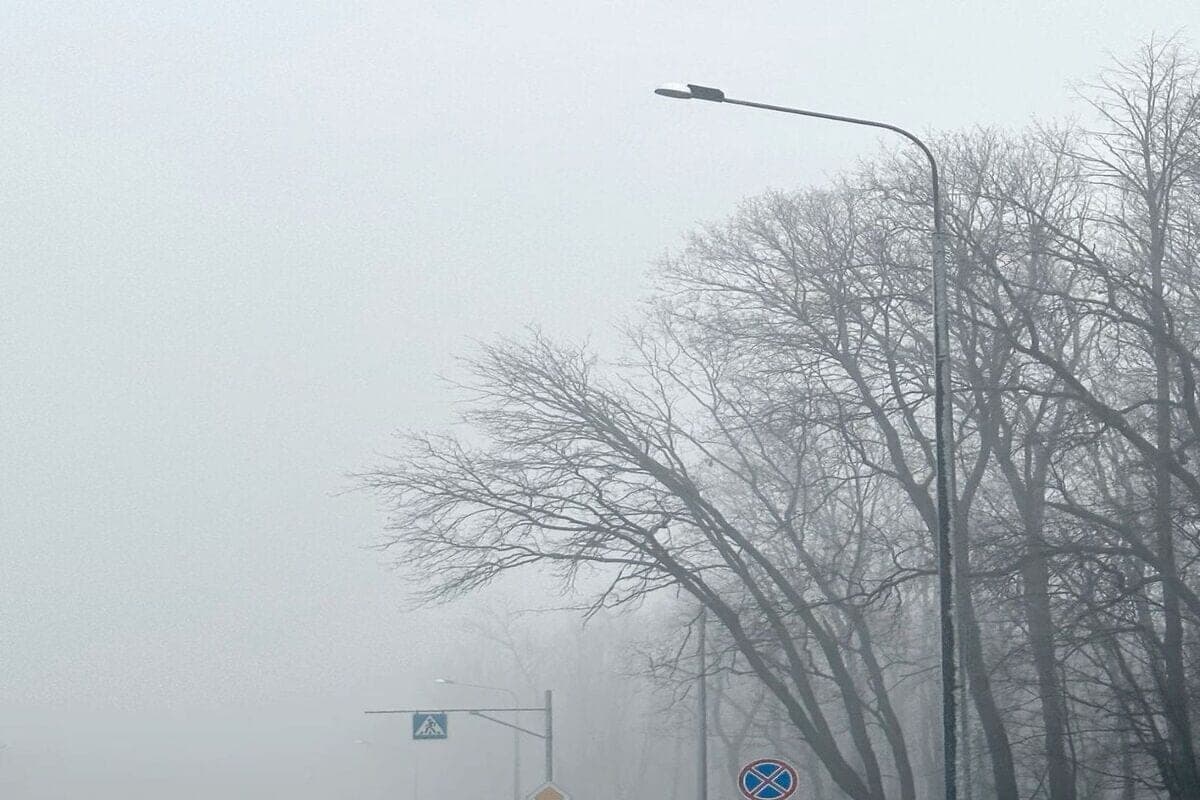 In the Pskov region, fog is expected in places with visibility of 500 meters or less