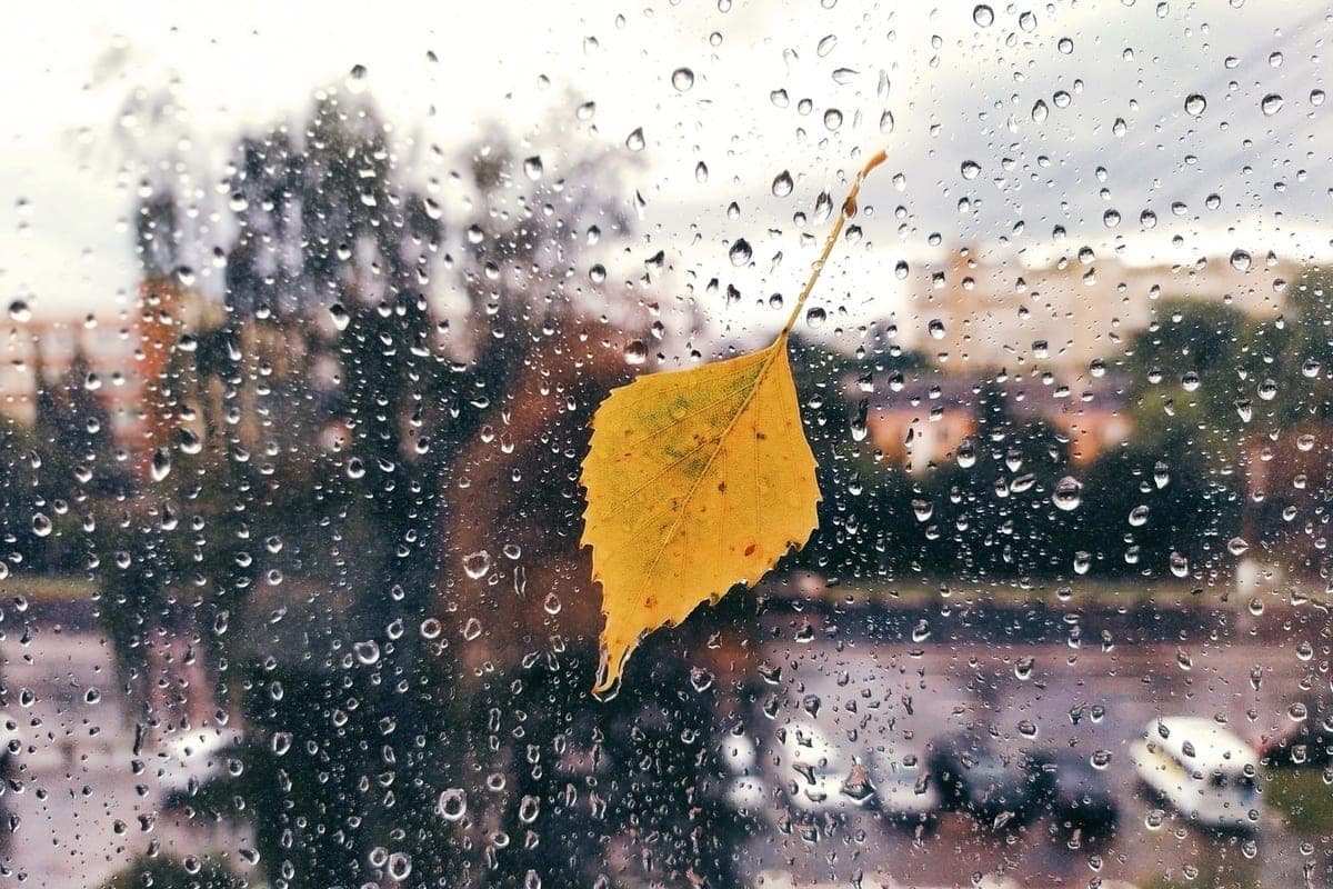 Rain and cooling: weather in the Tver region for a week