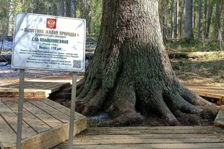 In Karelia temporarily restricted access to two popular eco-routes