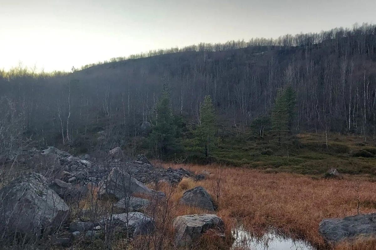 In the Murmansk region found nine violations of the rules of hunting