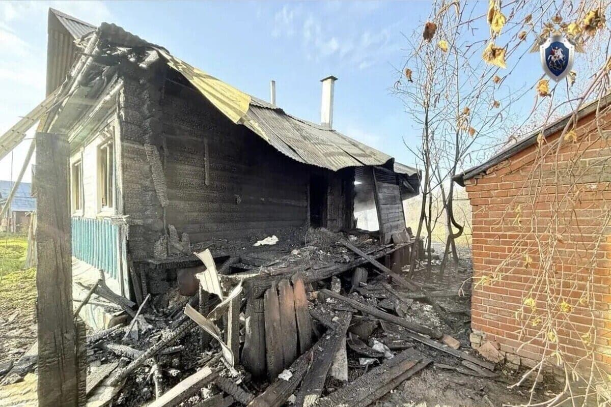 Мать и сын погибли при пожаре в жилом доме под Касимовом — СК