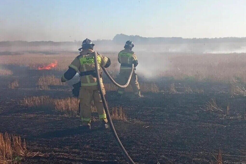 In Zaporozhye region for the day extinguished two fires