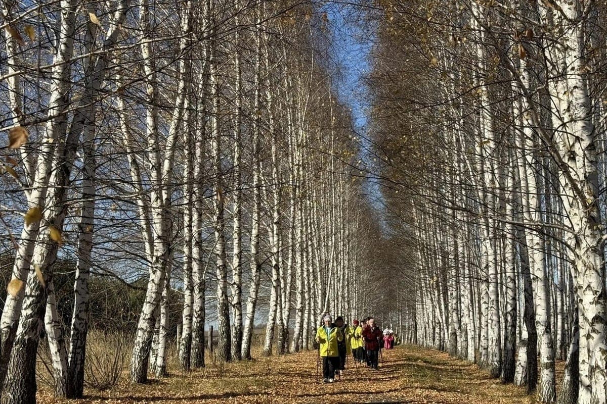 В Спасском районе прошел фестиваль скандинавской ходьбы