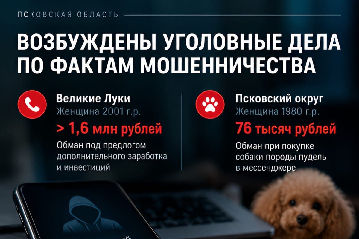 Les résidents du district de Velikie Luk et Pskov ont perdu plus de 1,6 million de roubles en raison des actions des fraudeurs téléphoniques