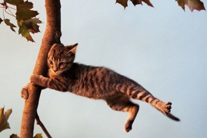 Yaroslavtsev warned about the storm wind