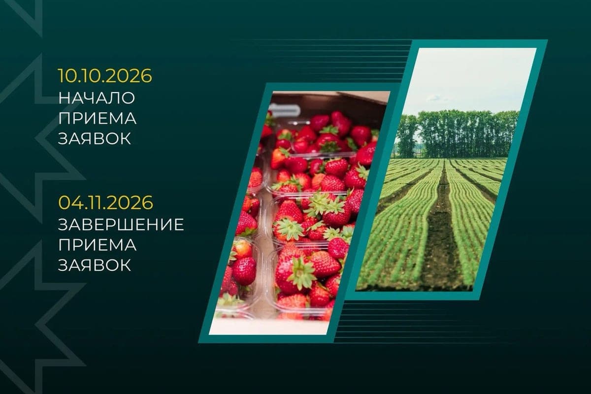 In Chuvashia began accepting applications for the grant “Perspective” for farmers