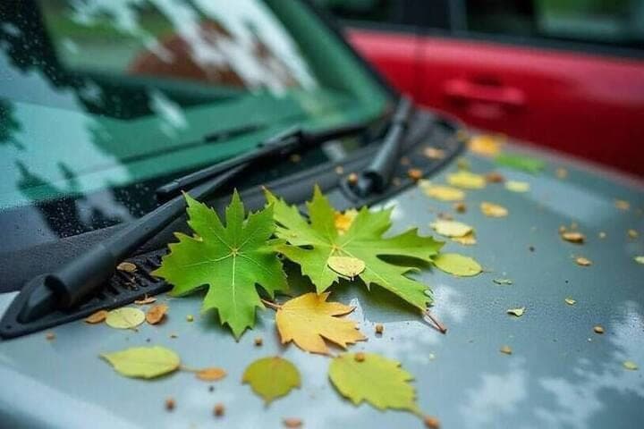Penza drivers reminded about the risks of autumn roads