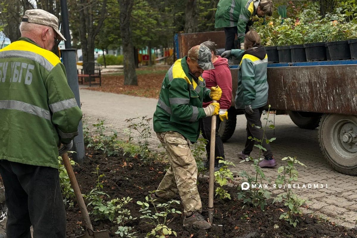 Reagents and snow removal equipment: how Belgorod prepares for the cold