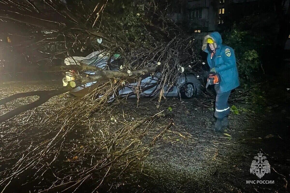 В Севастополе МЧС семь раз выезжало на падение деревьев из-за непогоды