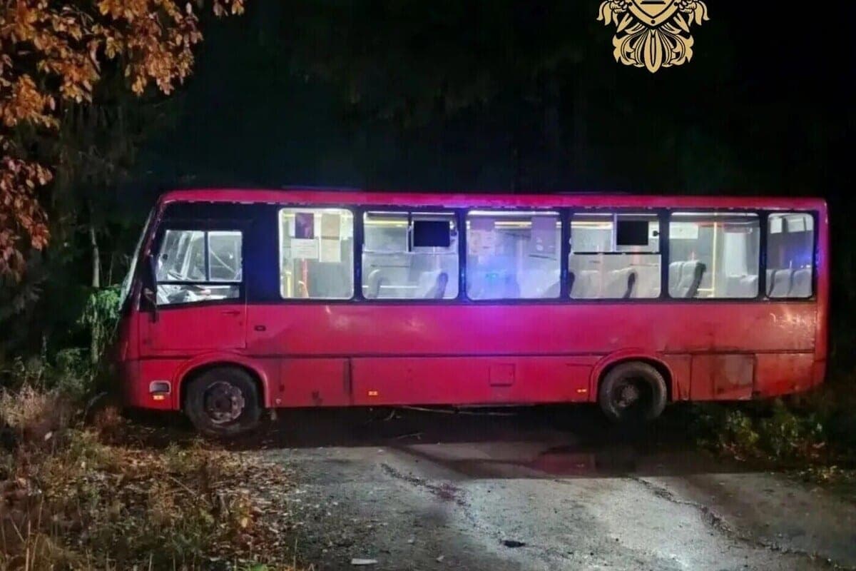 Der Fahrer eines regulären Busses in Leningrad beschloss zu jagen und fuhr in einen Graben