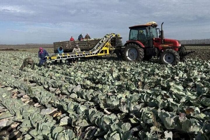 Cleaning campaign in Chuvashia is nearing completion with high rates
