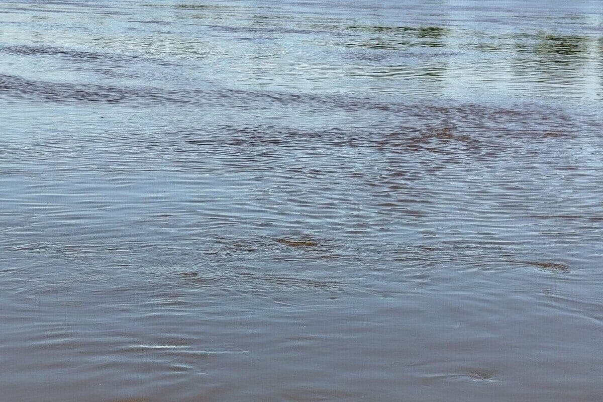 “Murmanskvodokanal” did not tell about the coastal wastewater release on Tuloma