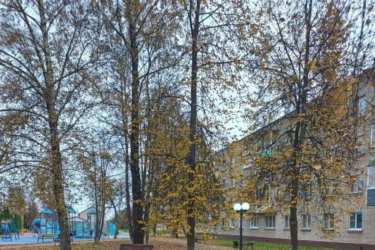 Жителям Ворсино вернули свет в парке