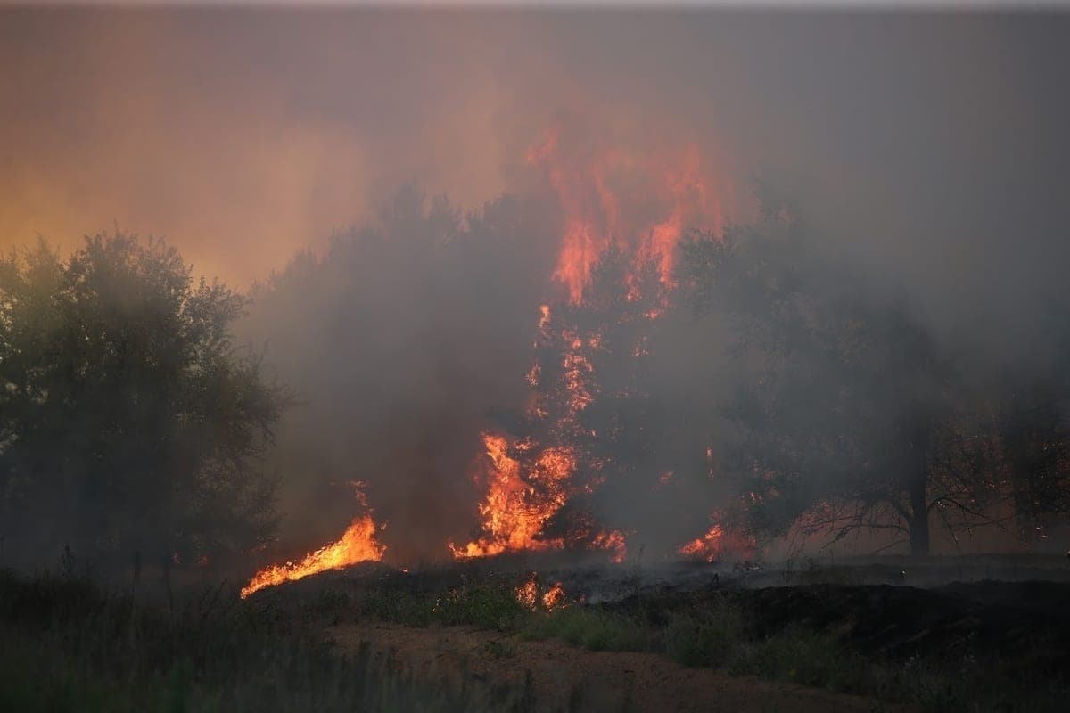 In the Volgograd region extinguished a forest fire on an area of 5 hectares