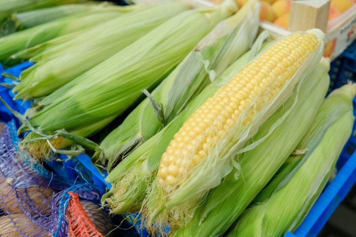 Violation dans l'exportation de produits agricoles révélée dans la région d'Astrakhan