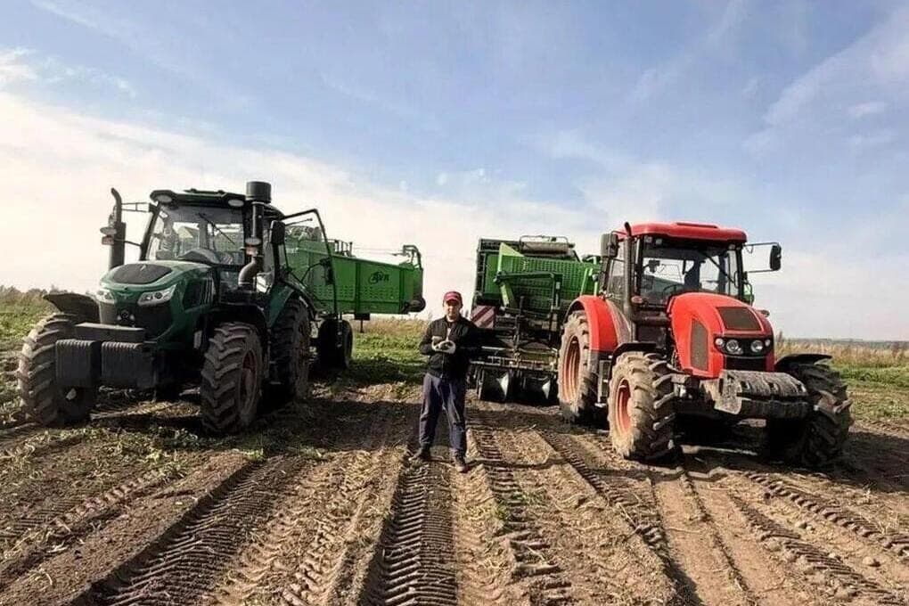 90 hectares of vegetables: how state support helped a farmer from Chuvashia to develop a business