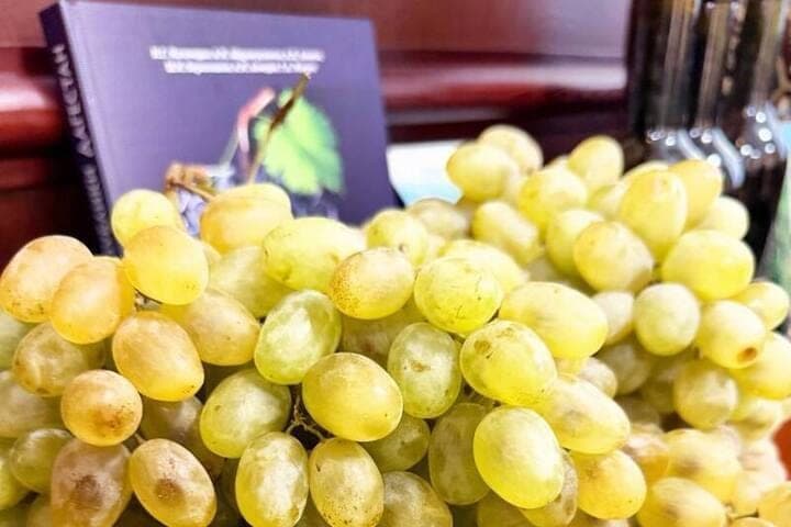 Agrarians of Dagestan collected 180 thousand tons of grapes