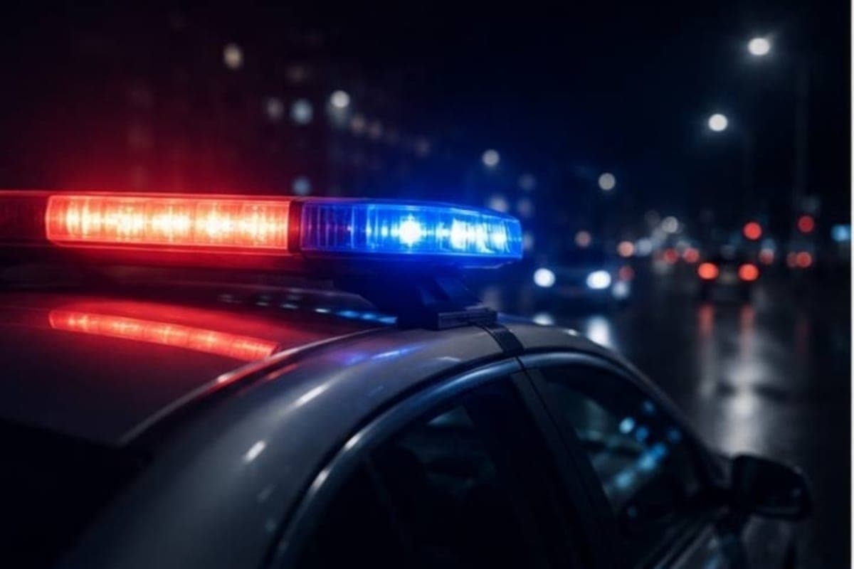 Driver with fake license detained in Kaliningrad region