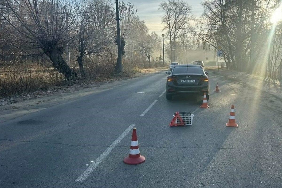 28 октября на дорогах Марий Эл пострадали два мальчика