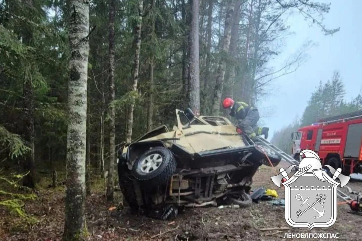 Mercedes driver killed after collision with a tree in Vyborg district