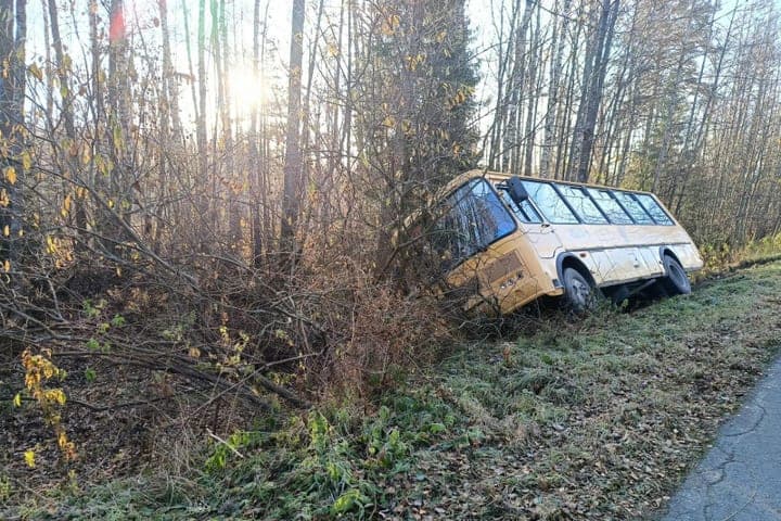 Автобус со школьниками съехал в кювет в Петушинском районе
