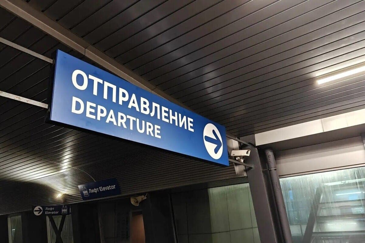 Jealous murderer from the village Fedorovskoye detained in Pulkovo
