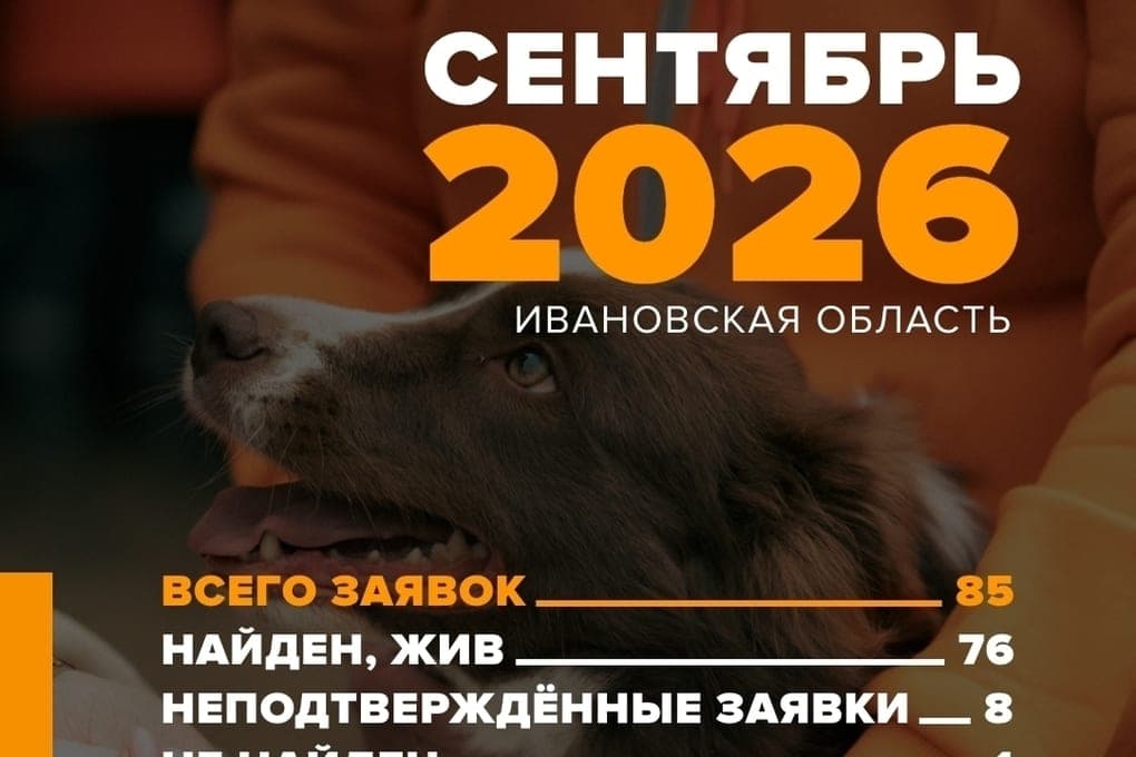 Volunteers of the Ivanovo region found alive almost all the lost people in the forest in September
