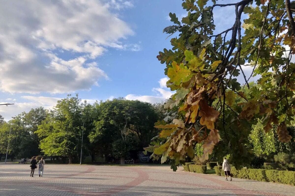 In the Zaporozhye region on October 10 will be variable cloudiness, slight rain and fog
