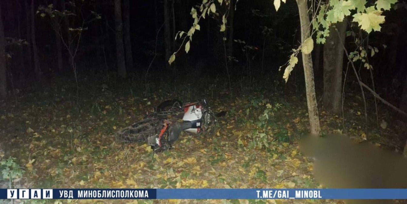 Fatal accident near Minsk: motorcyclist collided with moose and died