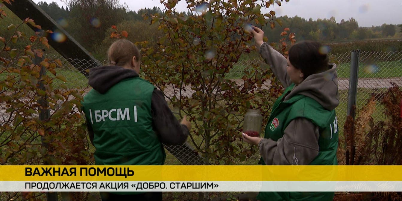 Volunteers of BRSM help single pensioners in Krupki within the framework of the action “Good to the elders”
