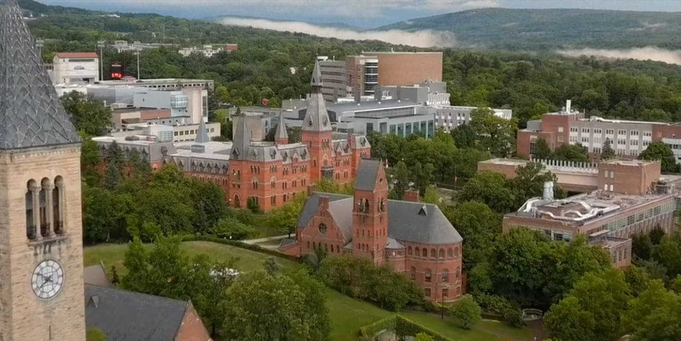 What lies behind the facade of prestigious US universities and why the world started talking about the flash mob “I am Jane Doe”
