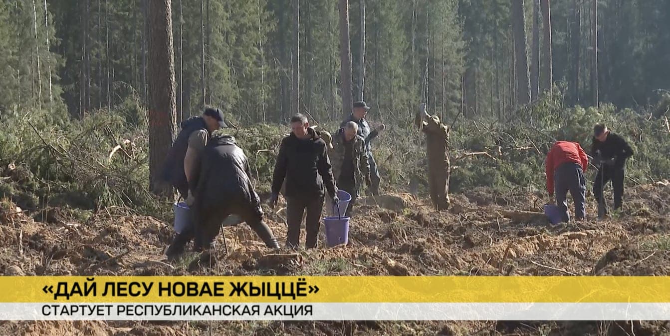 Republican action “Give the forest a new zhyzzo” starts in Belarus