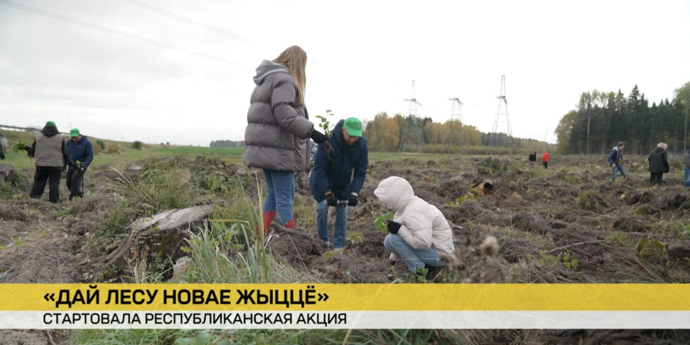 Вклад в будущее богатство. Сотрудники телеканала ОНТ приняли участие в акции «Дай лесу новае жыццё»