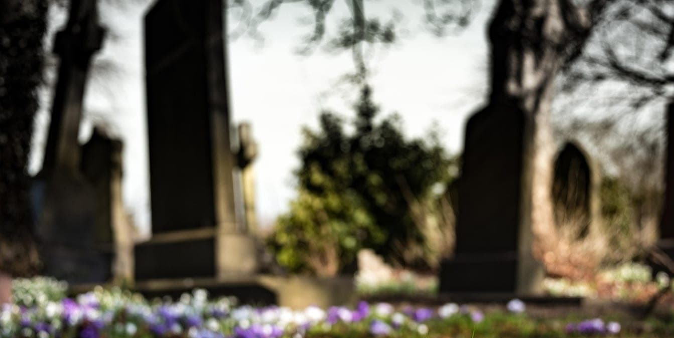 In Australia, allowed to “compost” bodies after death – the law will work from 2028