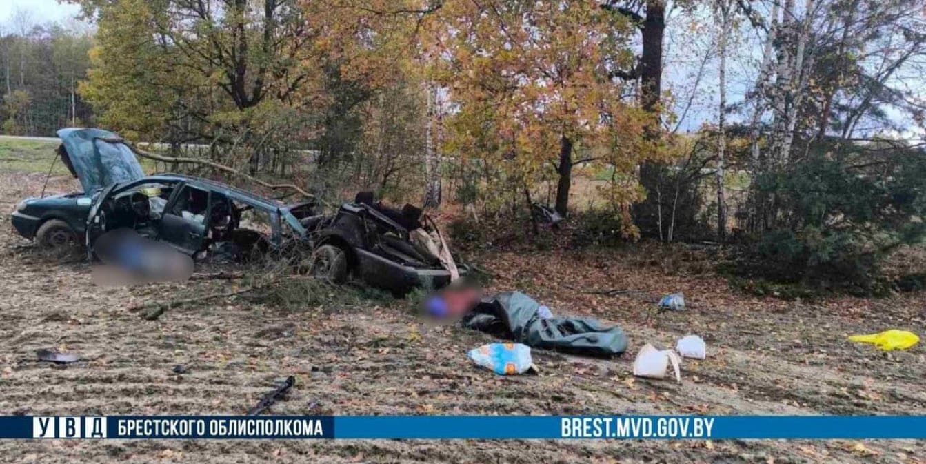 ГАИ: в Кобринском районе погиб водитель, которому стало плохо за рулем
