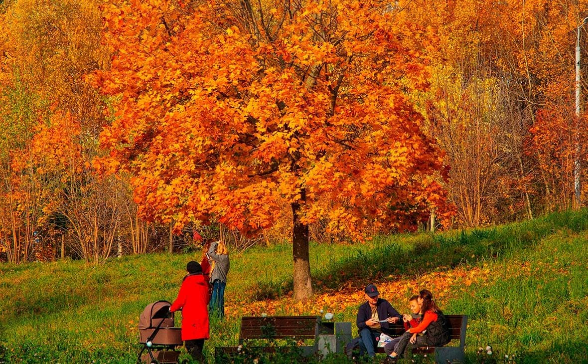 Forecaster Tishkovets predicted the continuation of the Indian summer in Russia