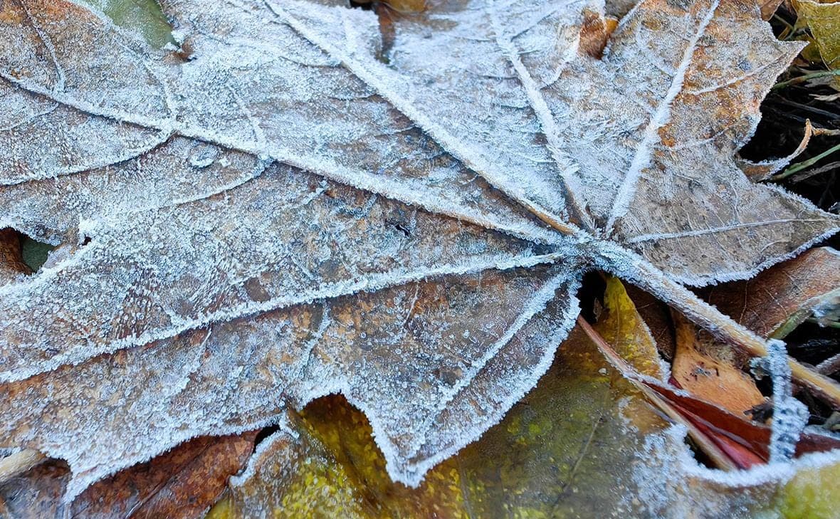 Forecaster warnte Moskauer vor den ersten Frösten