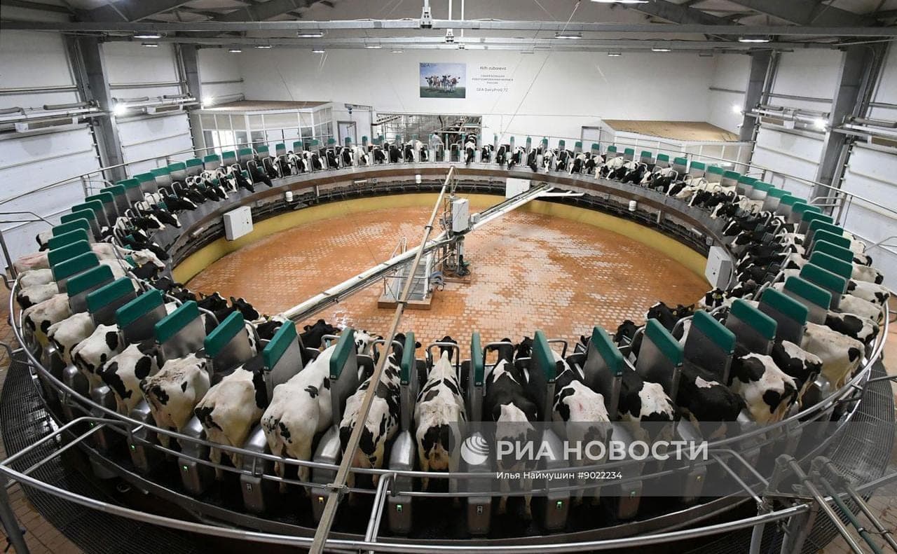 Artificial intelligence and robots: what gives the digitalization of the agro-industrial complex