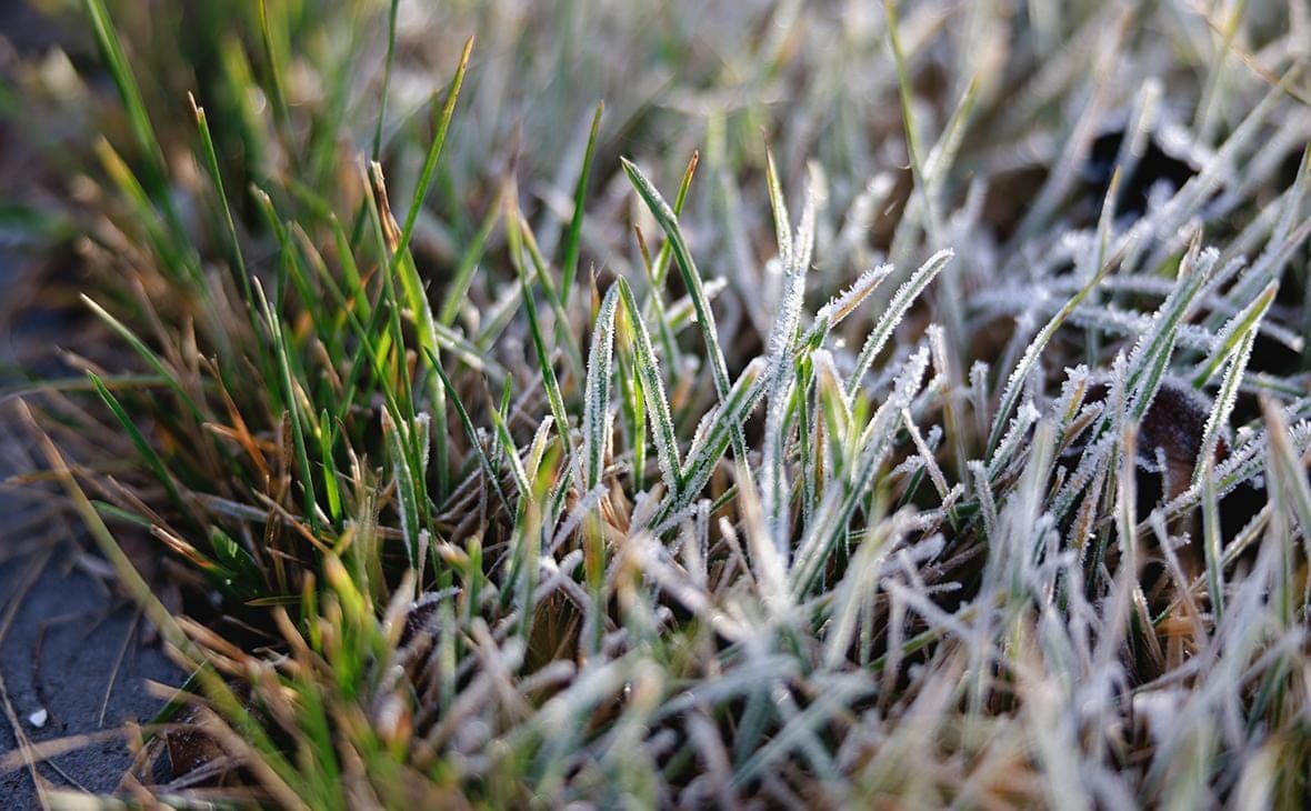 In the Moscow region expected frosts to minus 2 degrees