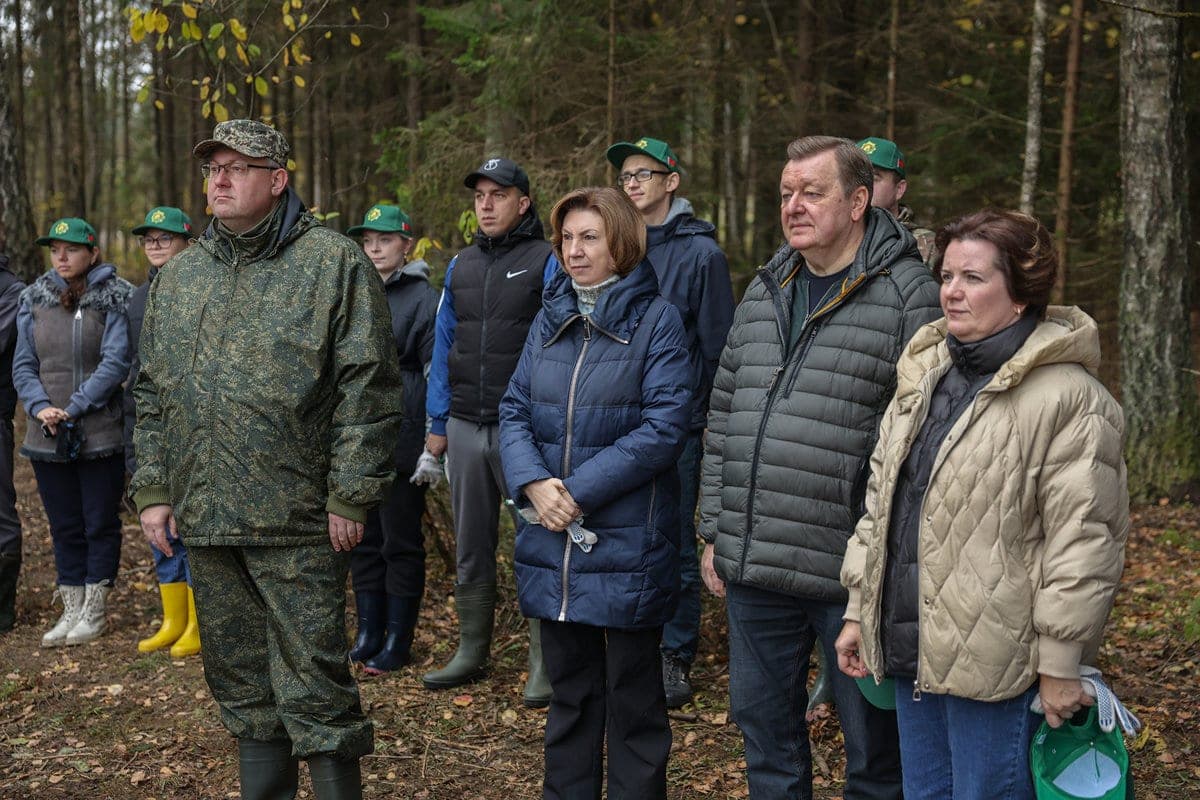 Кочанова: восстанавливая лес, мы инвестируем в здоровье граждан и экономику страны