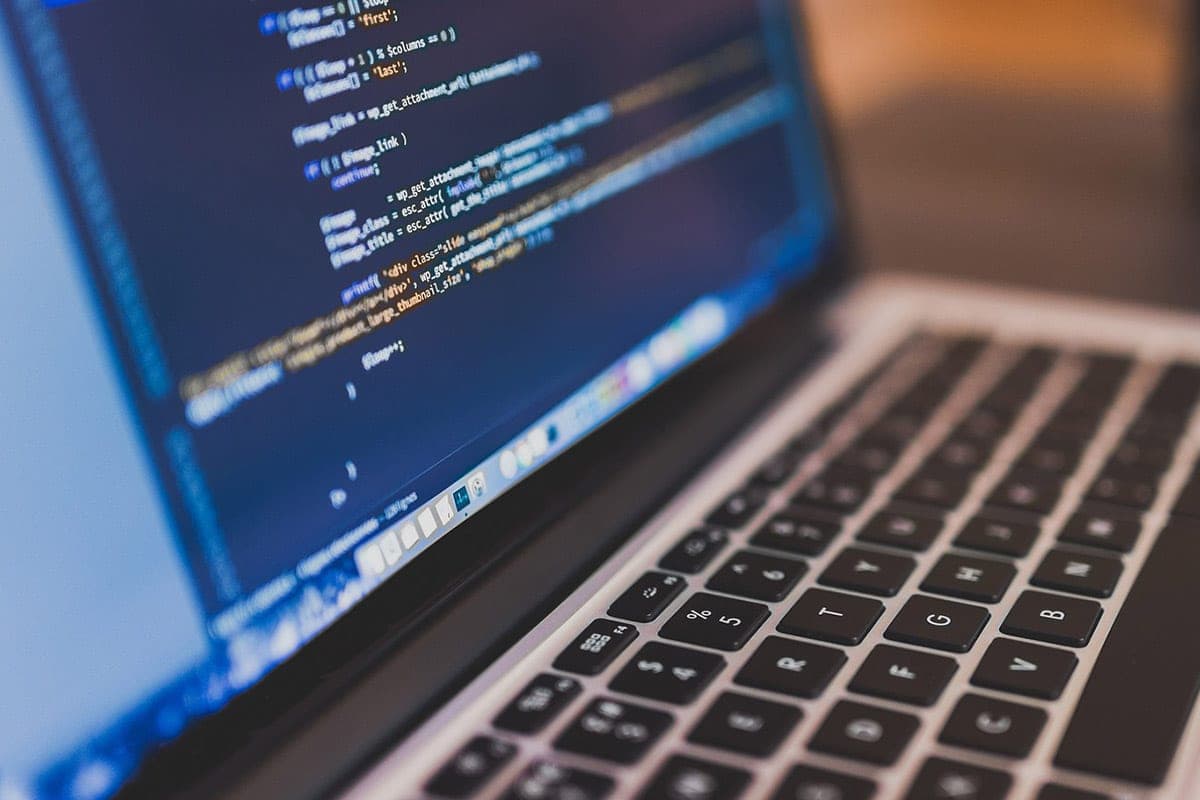 13 países desactivan los sitios web gubernamentales debido a la vulnerabilidad en el lenguaje de programación