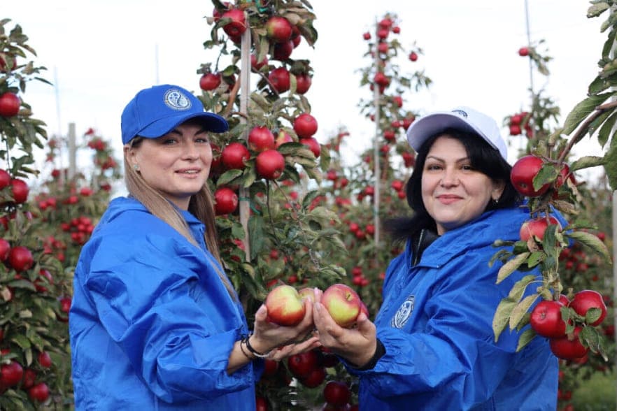 Representatives of the Department of Internal Affairs of the Brest Regional Executive Committee took part in the republican action “Apple Garden”