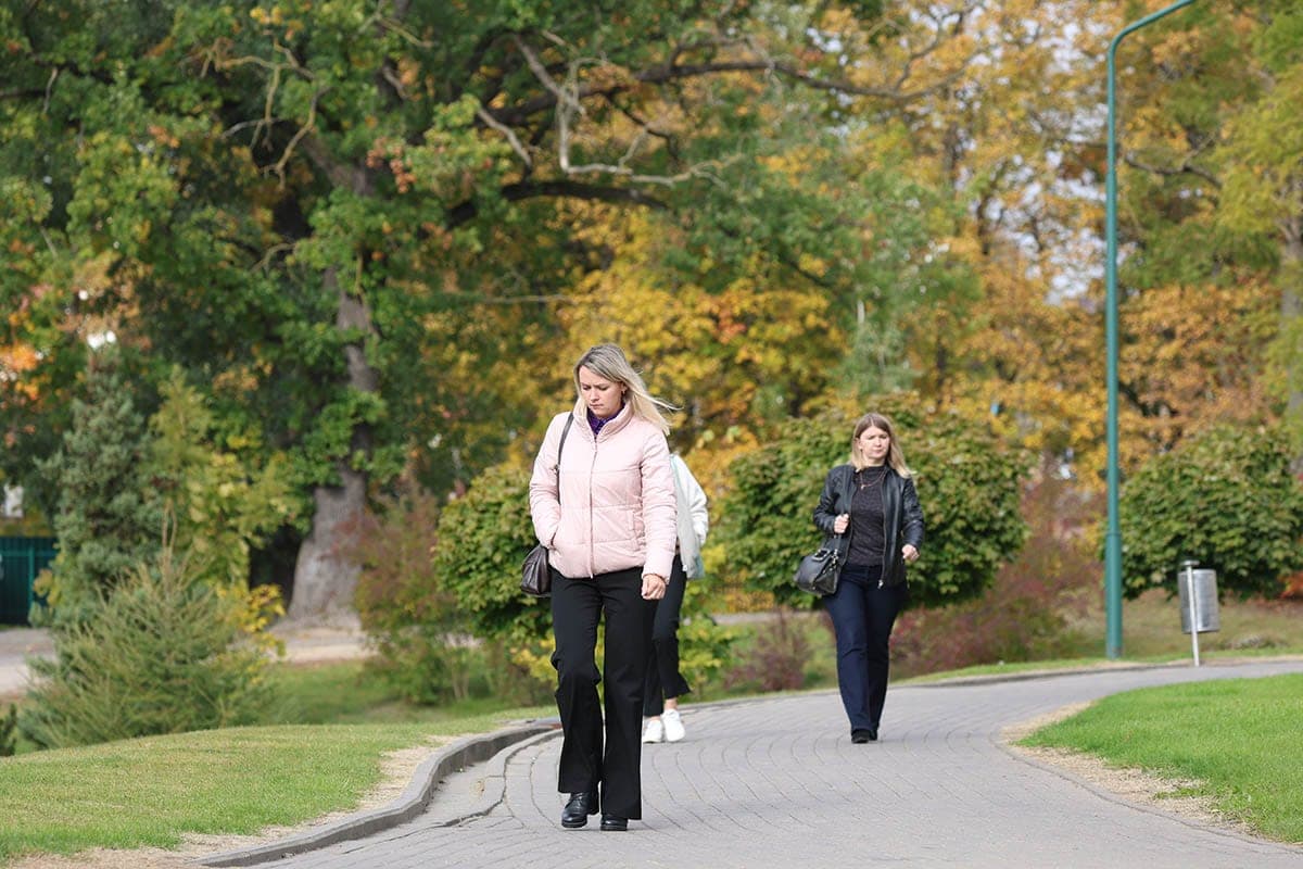 You will need umbrellas and warm clothes. Ryabov - about the weather in Belarus from 12 to 18 October