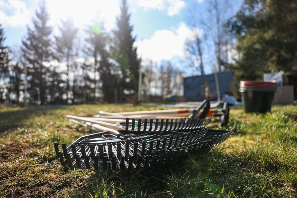 On October 10, the first subbotniks on landscaping will be held in Minsk