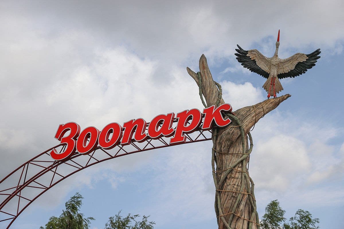 Minsk Zoo completes resettlement of heat-loving animals in winter enclosures