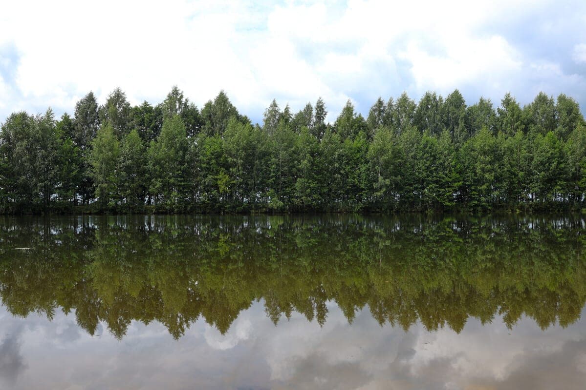 From Russia to Laos: Berezinsky Reserve during this tourist season was visited by more than 50 thousand people